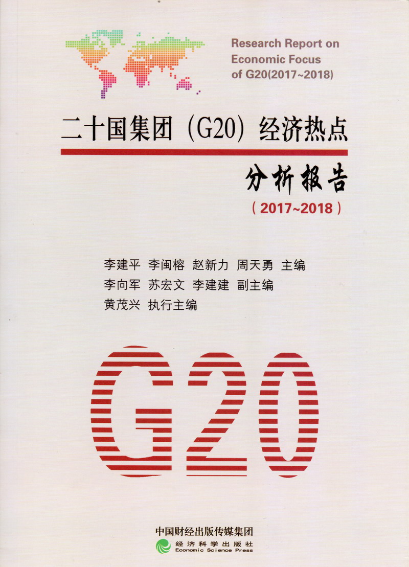 好大好深好爽的鸡巴二十国集团（G20）经济热点分析报告（2017-2018）